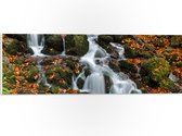 PVC Schuimplaat - Rivier Stromend vanaf Bergen Bedolven onder Herfstbladeren - 60x20 cm Foto op PVC Schuimplaat (Met Ophangsysteem)