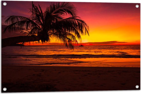 Tuinposter – Silhouet van Palmboom Hangend over het Strand tijdens Rozekleurige Zonsondergang - 90x60 cm Foto op Tuinposter (wanddecoratie voor buiten en binnen)