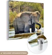 MuchoWow® Peinture sur verre 90x90 cm - Peinture sur verre acrylique - Éléphant - Water - Animaux - Nature - Photo sur verre - Peintures