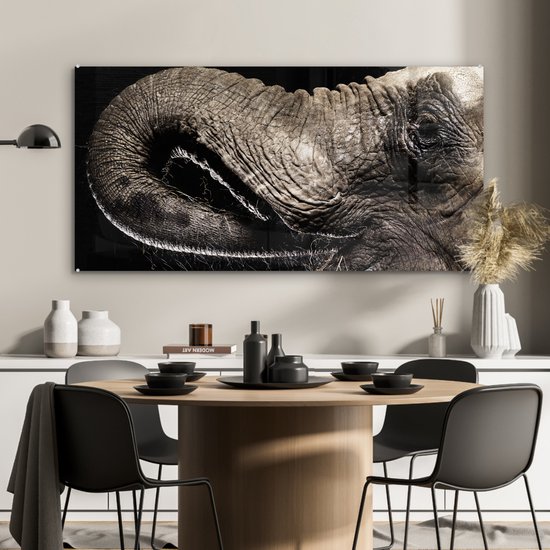 MuchoWow® Peinture sur verre 120x60 cm - Peinture acrylique sur verre - Éléphant - Animaux - Zwart - Nature - Photo sur verre - Peintures