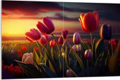 Acrylglas - Kleurrijke Tulpen in Bloemenveld - 120x80 cm Foto op Acrylglas (Wanddecoratie op Acrylaat)