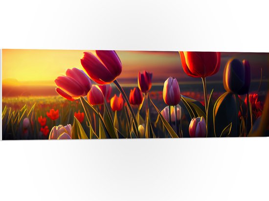 PVC Schuimplaat- Kleurrijke Tulpen in Bloemenveld - 120x40 cm Foto op PVC Schuimplaat