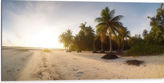 Dibond - Felle Zonnestralen over het Strand en Palmbomen - 100x50 cm Foto op Aluminium (Wanddecoratie van metaal)