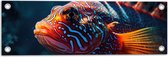 Tuinposter – Koraalduivel Vis met Prachtige Felle Kleuren op de Zeebodem - 60x20 cm Foto op Tuinposter (wanddecoratie voor buiten en binnen)