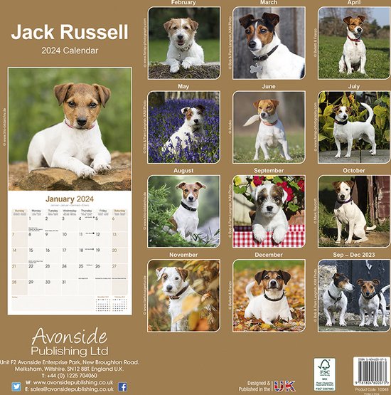 Jack Russell Terrier Kalender 2024 bol