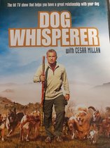 The Dog Whisperer - Season 1 [DVD], Good