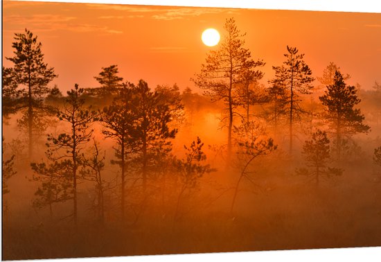 Dibond - Zonsopkomst bij Bos met Bomen Vol met Mist - 150x100 cm Foto op Aluminium (Wanddecoratie van metaal)
