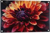Tuinposter – Oranje Roze Bloem - 75x50 cm Foto op Tuinposter (wanddecoratie voor buiten en binnen)
