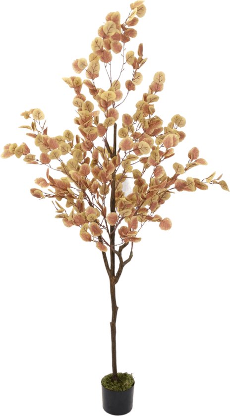 Plante d'Eucalyptus Artificielle 180 cm Couleur Rouille | Arbre artificiel d'eucalyptus | Grande plante artificielle | Plantes artificielles pour l'intérieur