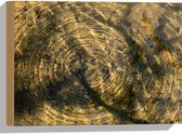 Hout - Vies Water met Regendruppels - 40x30 cm - 9 mm dik - Foto op Hout (Met Ophangsysteem)
