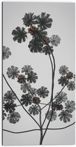 Dibond - Takken - Bloemen - Bladeren - 50x100 cm Foto op Aluminium (Wanddecoratie van metaal)