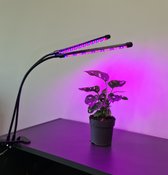 LED grow light - 2 voudig - Rood/blauw/paars - Met controller en timer