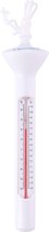 Thermometer  5x5x19cm PL