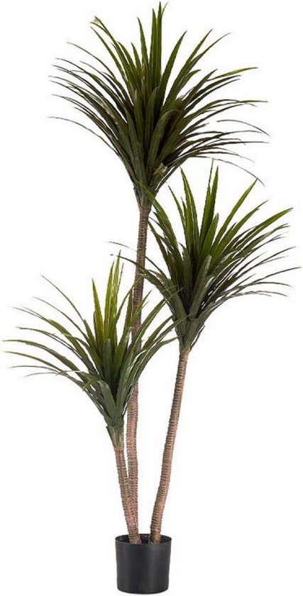 Decoratieve plant Groen Plastic (80 x 200 x 105 cm)