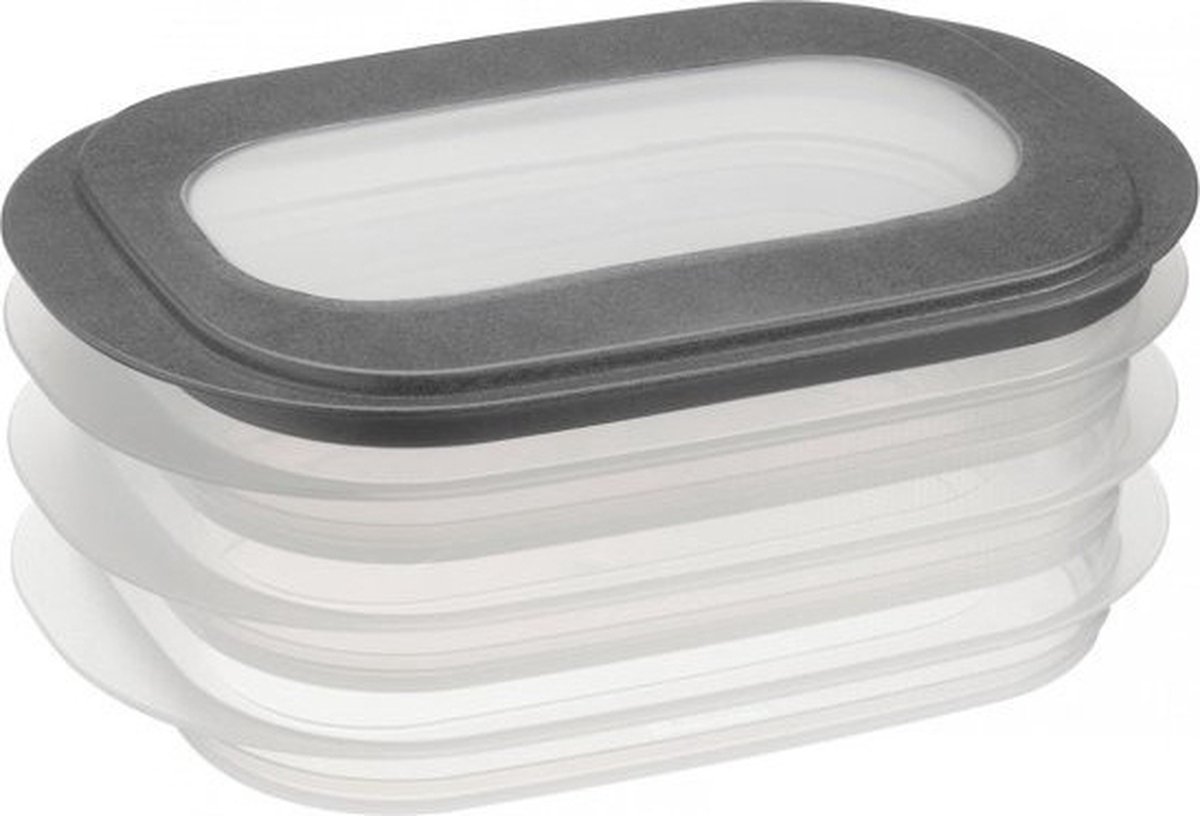 Sunware Sigma Home vleeswarendoos - 26.5x17.2x10.5 cm - Transparant/Blauw