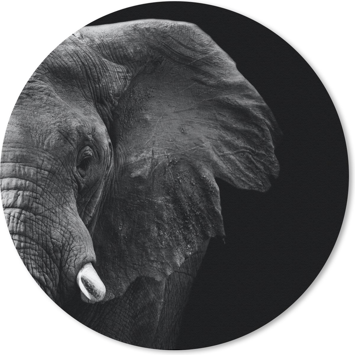 Muismat rond 40x40 cm - Mousepad Dieren - Olifant - Wild - Zwart - Wit - Ronde muismatten