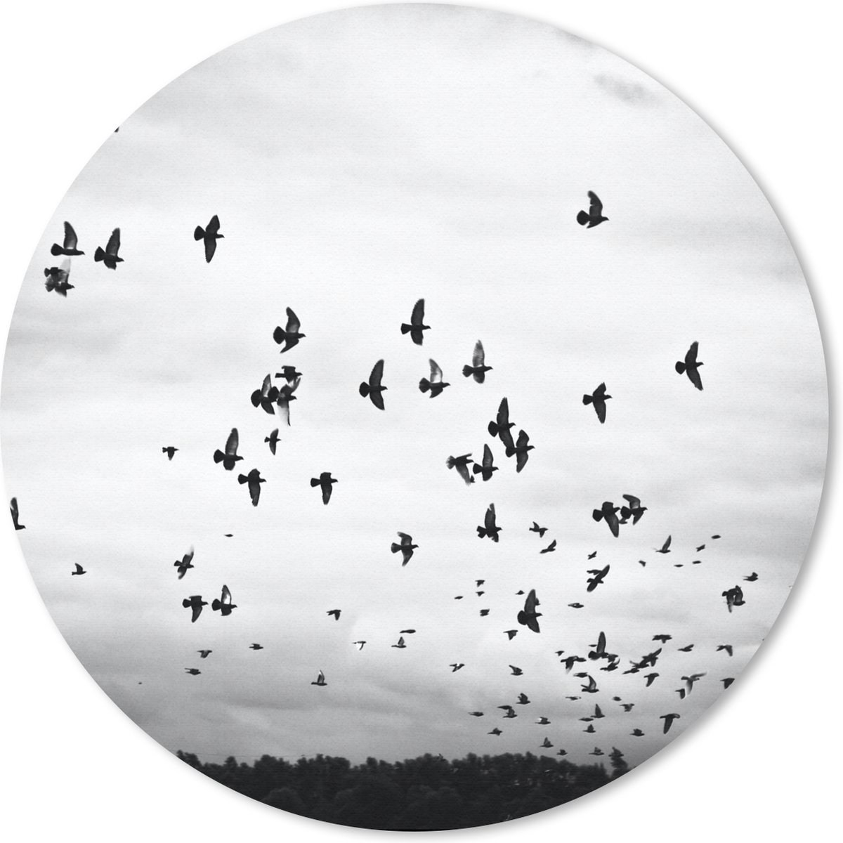 Muismat rond 30x30 cm - Mousepad Dieren - Vogels - Wolken - Zwart - Wit - Ronde muismatten