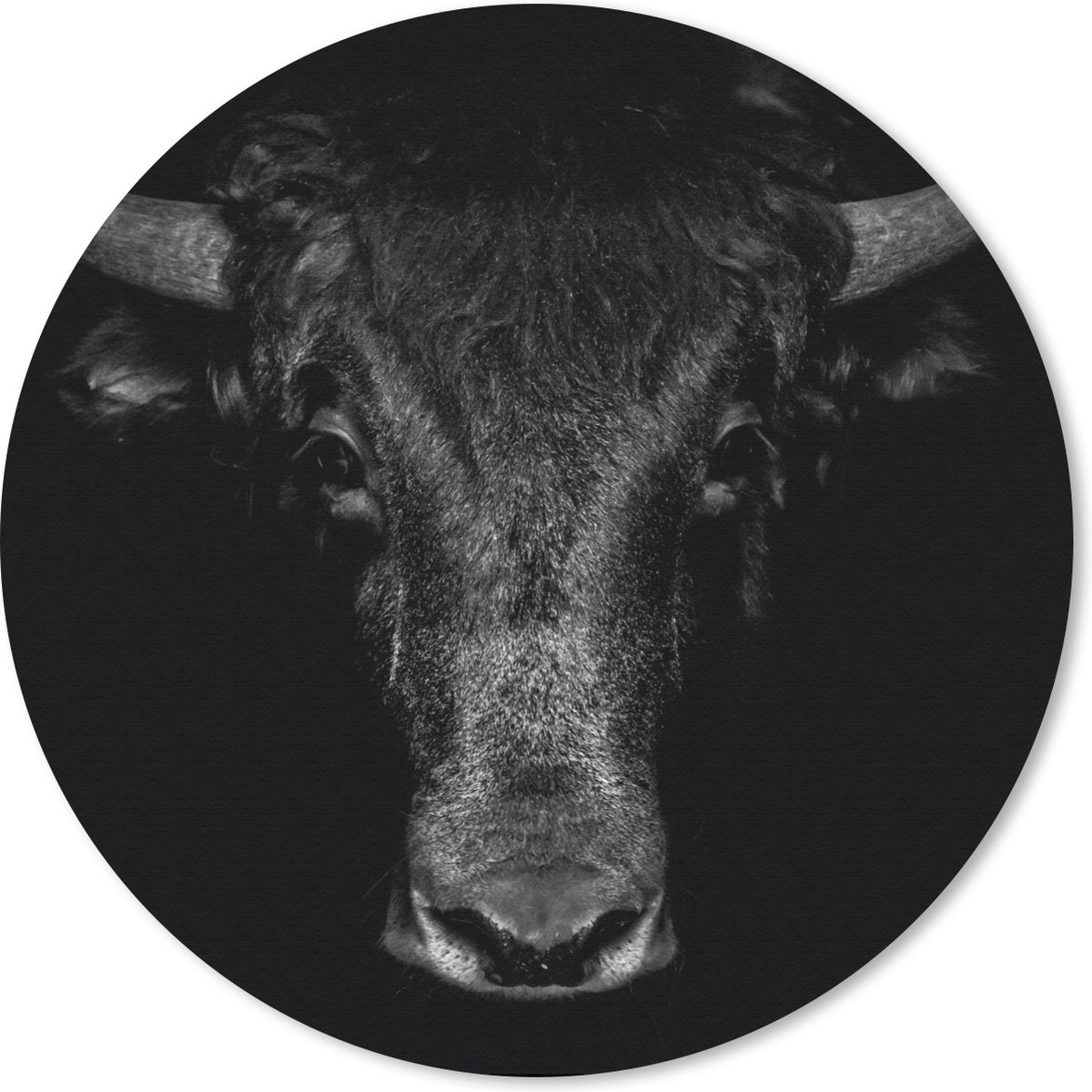 Muismat rond 50x50 cm - Mousepad Stier - Dieren - Zwart - Wit - Ronde muismatten