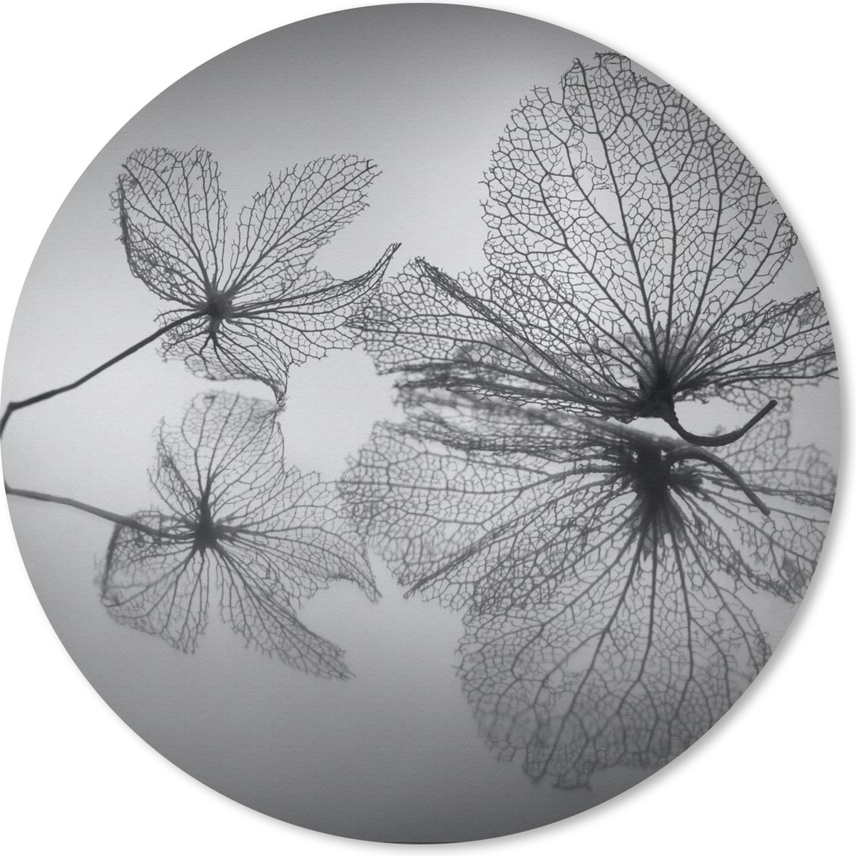 Muismat rond 20x20 cm - Mousepad Bladeren - Stilleven - Herfst - Ronde muismatten