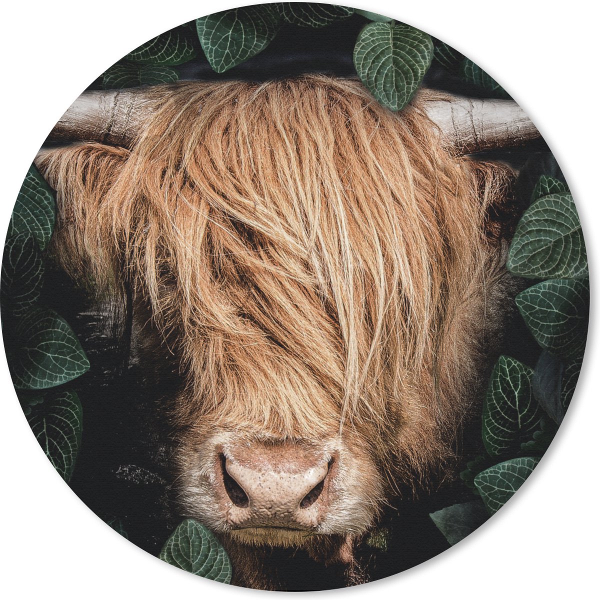 Muismat rond 40x40 cm - Mousepad Schotse hooglander - Bladeren - Koe - Ronde muismatten