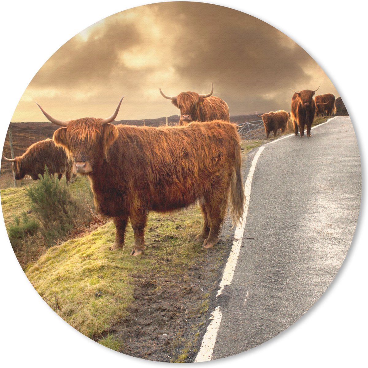 Muismat rond 20x20 cm - Mousepad Schotse hooglanders - Lucht - Weg - Ronde muismatten