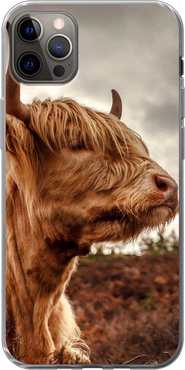 Telefoonhoesje Geschikt voor iPhone 12 Pro Max hoesje - Schotse Hooglander - Struik - Heide - Siliconen Telefoonhoesje Telefoonhoesje