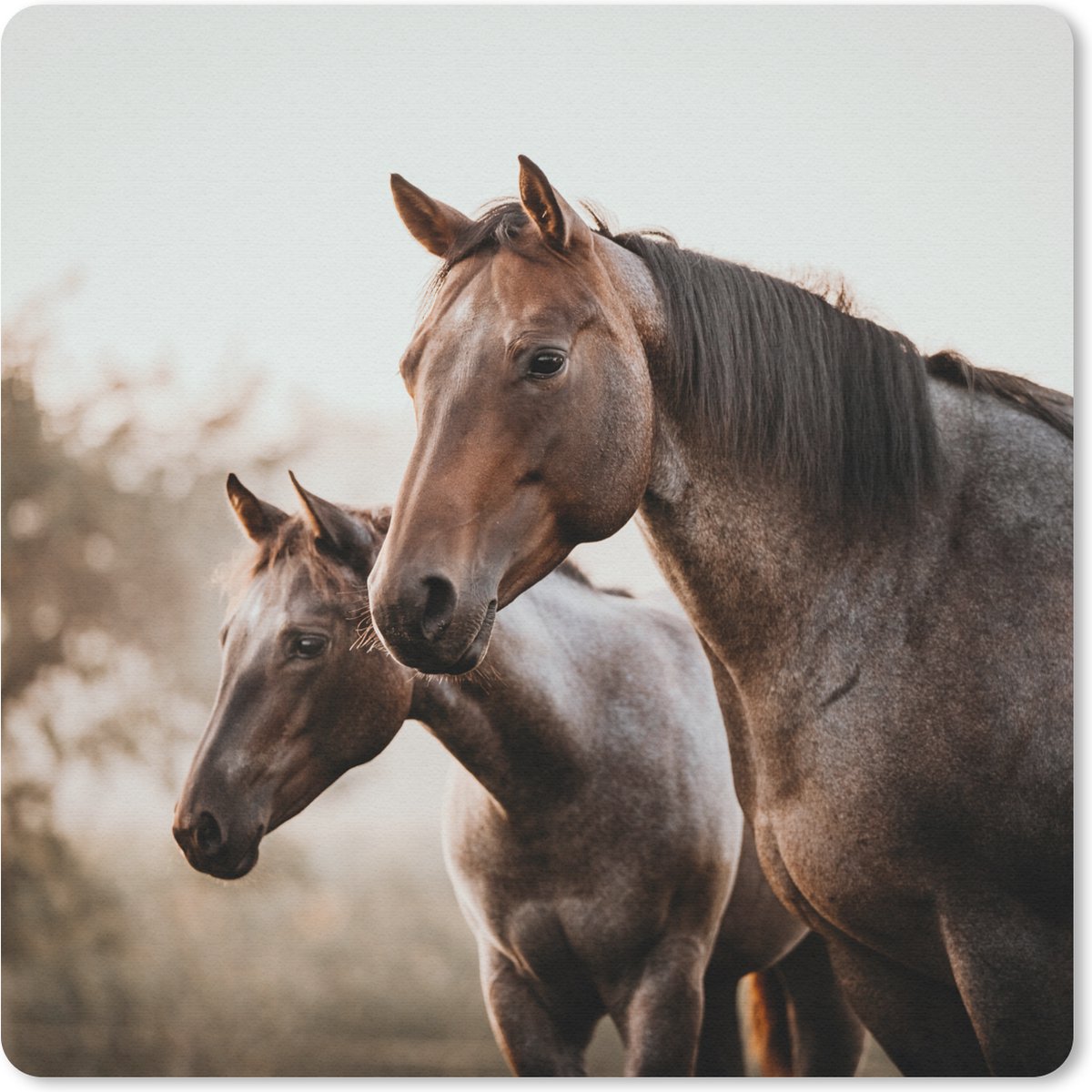 Muismat 20x20 cm - Mousepad Paarden - Natuur - Bruin - Muismatten