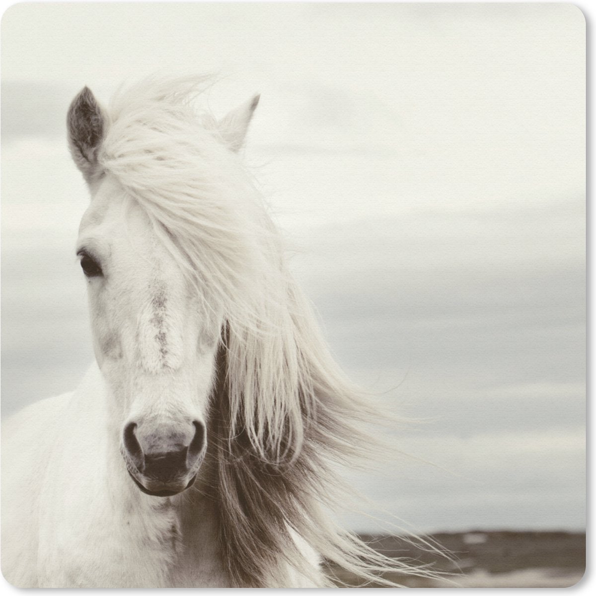 Muismat 20x20 cm - Mousepad Paard - Strand - Manen - Muismatten