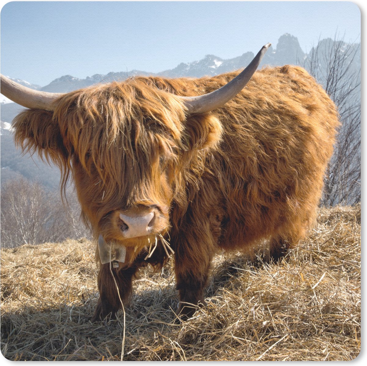 Muismat 30x30 cm - Mousepad Schotse Hooglander - Berg - Sneeuw - Muismatten