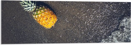Acrylglas - Ananas op het Strand met Zee - 120x40 cm Foto op Acrylglas (Wanddecoratie op Acrylaat)