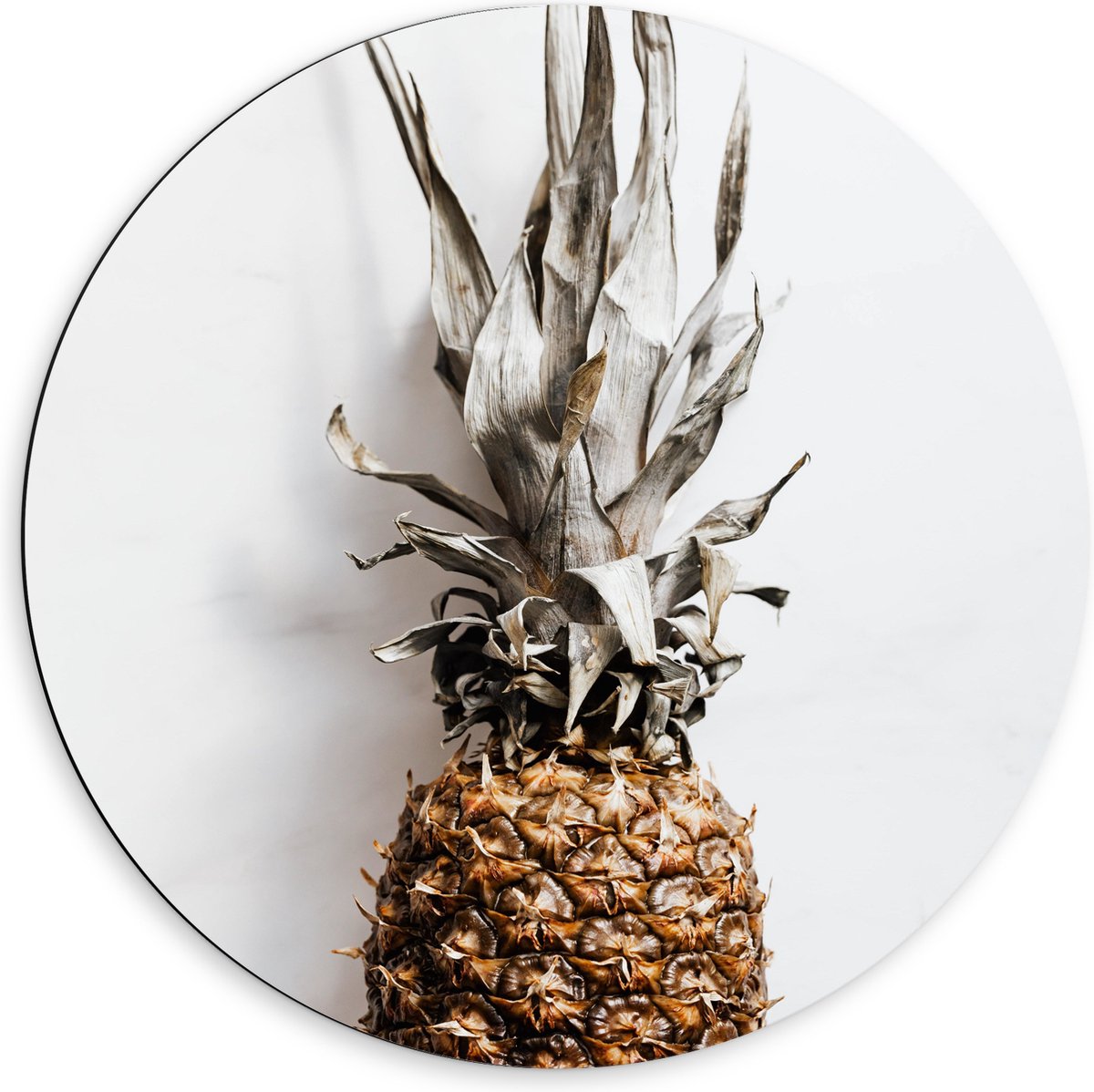 Dibond Muurcirkel - Ananas op Witte Achtergrond - 60x60 cm Foto op Aluminium Muurcirkel (met ophangsysteem)