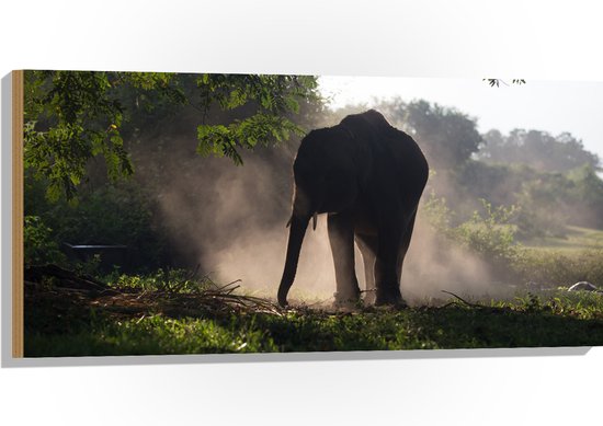 Hout - Grote Olifant in de Schaduw van de Bomen - 100x50 cm - 9 mm dik - Foto op Hout (Met Ophangsysteem)