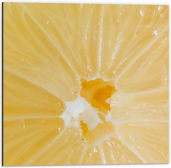 Dibond - Close Up van Vruchtvlees van Citroen - 50x50 cm Foto op Aluminium (Wanddecoratie van metaal)