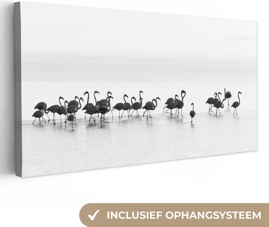 Canvas Schilderij Flamingo's - Water - Natuur - Zwart wit - Wanddecoratie