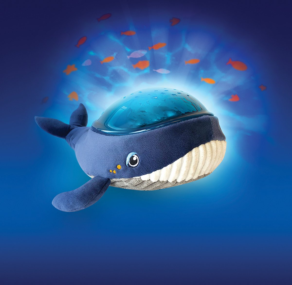 Schildpad - Babyprojector kopen | Slapen, Beeld, lied