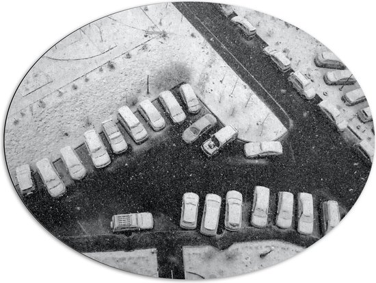 Dibond Ovaal - Ondergesneeuwde Auto's op Parkeerplaats - 96x72 cm Foto op Ovaal (Met Ophangsysteem)