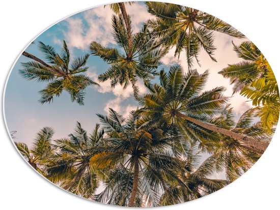 PVC Schuimplaat Ovaal - Onderaanzicht van Tropische Palmbomen onder Wolkenveld - 56x42 cm Foto op Ovaal (Met Ophangsysteem)