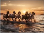 Poster (Mat) - Kudde Galopperende Paarden in de Zee bij Zonsondergang - 40x30 cm Foto op Posterpapier met een Matte look