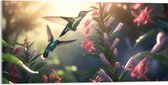 Acrylglas - Kolibries Vliegend bij Roze Plantgjes - 100x50 cm Foto op Acrylglas (Wanddecoratie op Acrylaat)