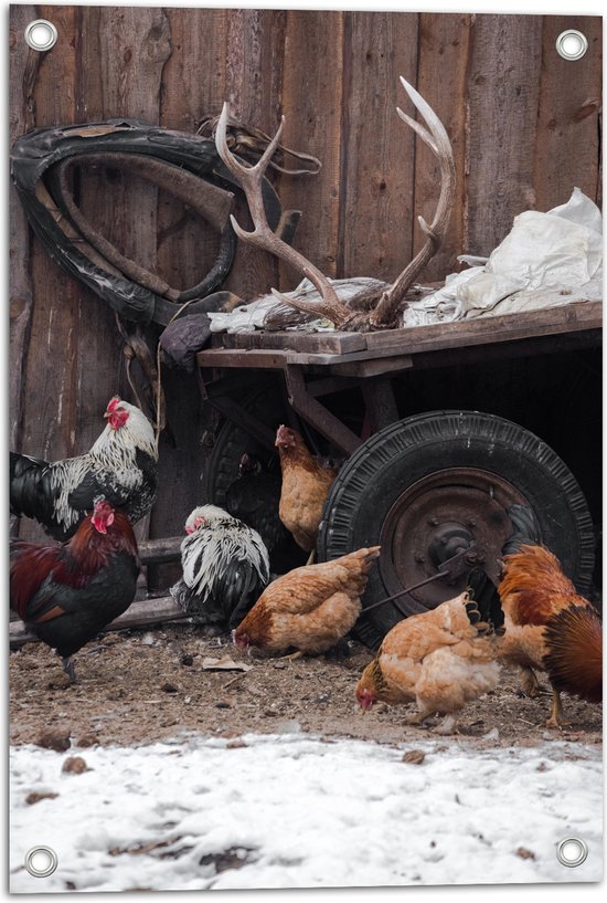 Tuinposter – Groepje Kippen Lopend bij Wagen op Boerderij - 40x60 cm Foto op Tuinposter (wanddecoratie voor buiten en binnen)