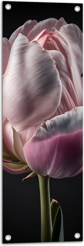 Tuinposter – Close-up van Roze Tulp tegen Zwarte Achtergrond - 30x90 cm Foto op Tuinposter (wanddecoratie voor buiten en binnen)