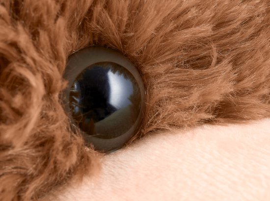 Teddybeer Barry (Beige) Rood Hart Pluche Knuffel XXL 100 cm