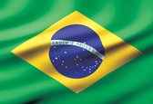Fotobehang - Vlies Behang - Vlag van Brazilië - Braziliaanse Vlag - 254 x 184 cm