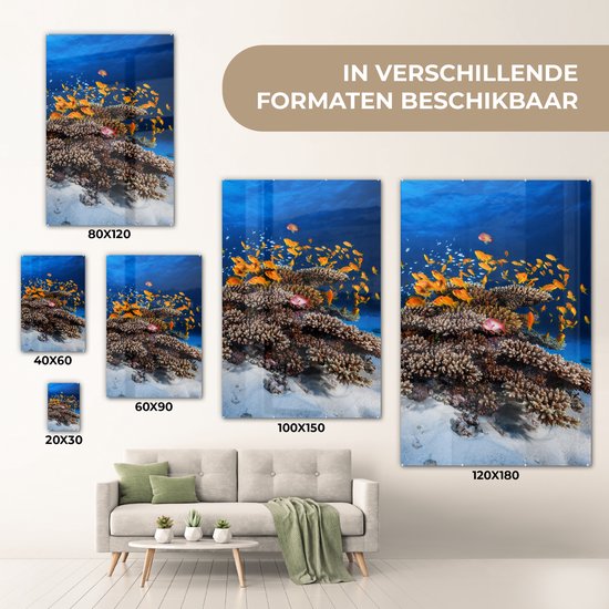 Peinture sur verre - Corail - Poissons - Animaux aquatiques - Oranje - Photo sur verre - Décoration murale - 100x150 cm - Peinture sur verre