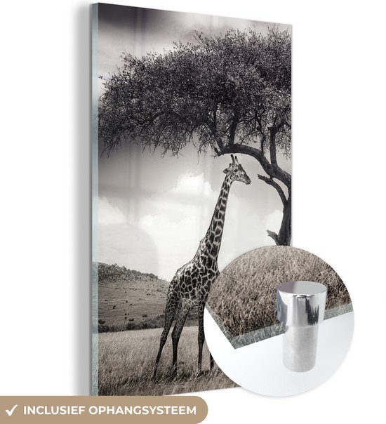 Glasschilderij - Giraffe - Natuur - Dieren - Zwart - Wit - Foto op glas - 100x150 cm - Schilderij glas - Muurdecoratie