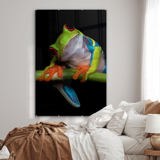 Peinture sur verre - Grenouille - Animaux - Vert - Oranje - Rouge - Photo sur verre - Peinture sur verre - 100x150 cm - Décoration murale