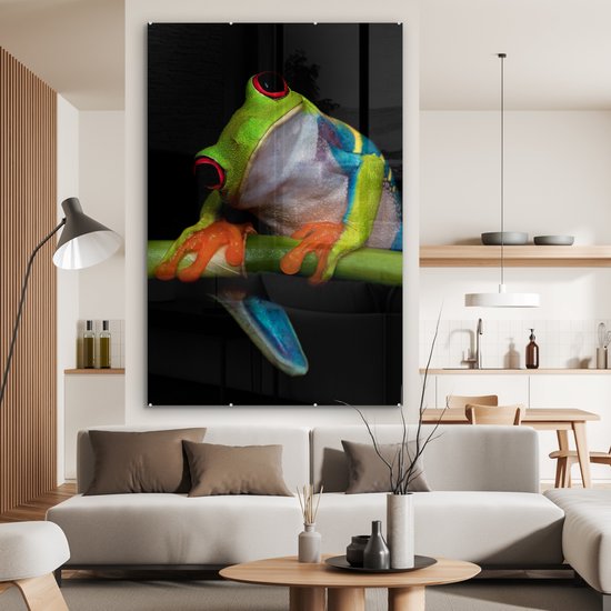 Peinture sur verre - Grenouille - Animaux - Vert - Oranje - Rouge - Photo sur verre - Peinture sur verre - 100x150 cm - Décoration murale