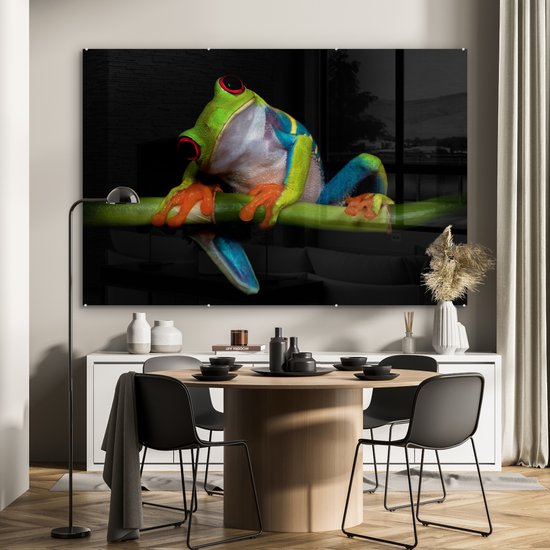 Peinture sur verre - Grenouille - Animaux - Vert - Oranje - Rouge - Photo sur verre - Peinture sur verre - 180x120 cm - Décoration murale