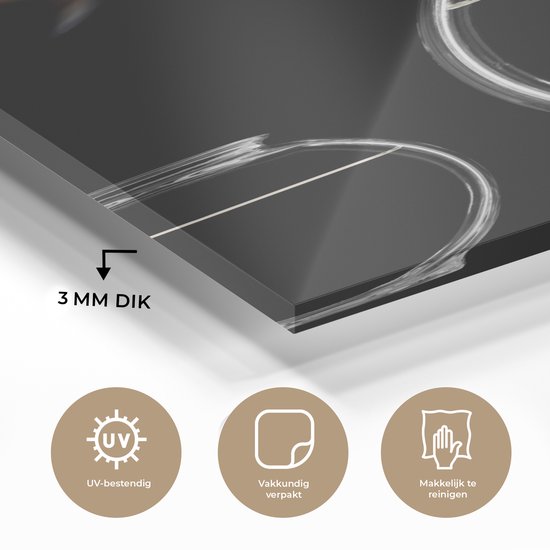 MuchoWow® Peinture sur verre 20x30 cm - Peinture sur verre acrylique - Poisson rouge - Fishbowl - Zwart - Photo sur verre - Peintures