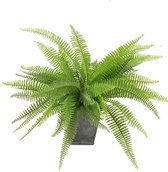 Kunstplant - varen - groen - 33 cm - kunst kamerplant